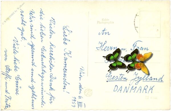wien 19, leopoldsberg, donaustrom