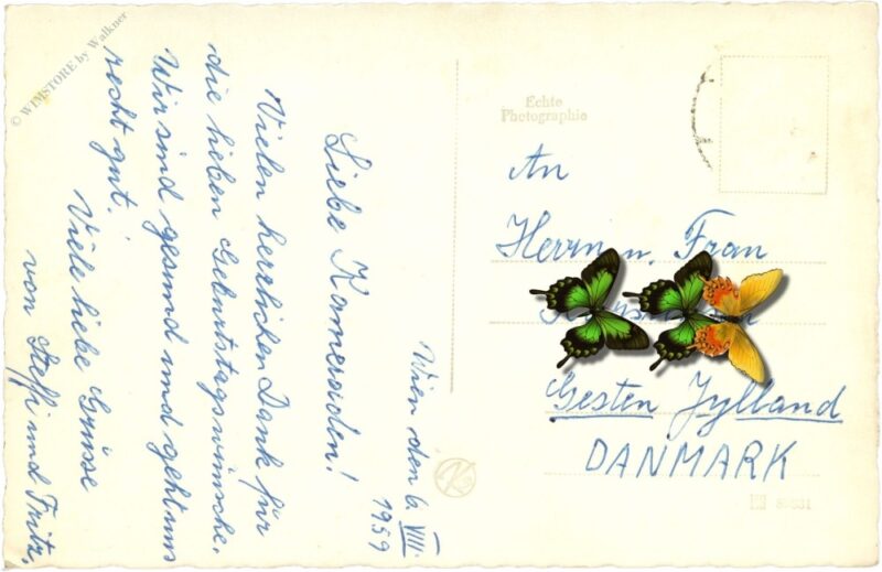 wien 19, leopoldsberg, donaustrom
