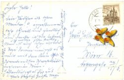 strallegg, bei birkfeld