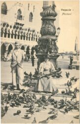 venedig, piccioni