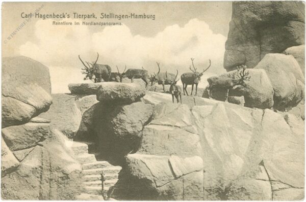 hamburg, stellingen, carl hagenbeck's tierpark