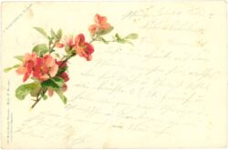 blumenzweig