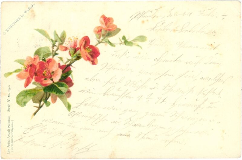 blumenzweig