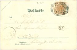 blumenzweig