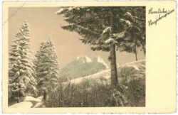 neujahr, verschneiter wald