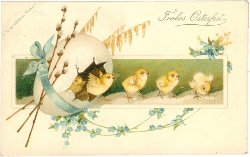 ostern, kücken kommen aus einem großen ei ostern, kücken kommen aus einem großen ei