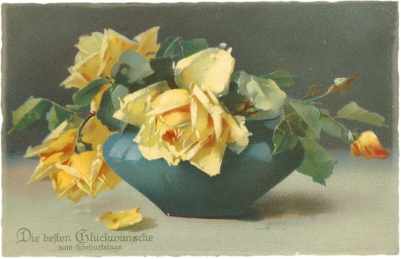 geburtstag, gelbe rosen geburtstag, gelbe rosen