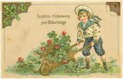 geburtstag, bub bringt blumenschubkarre