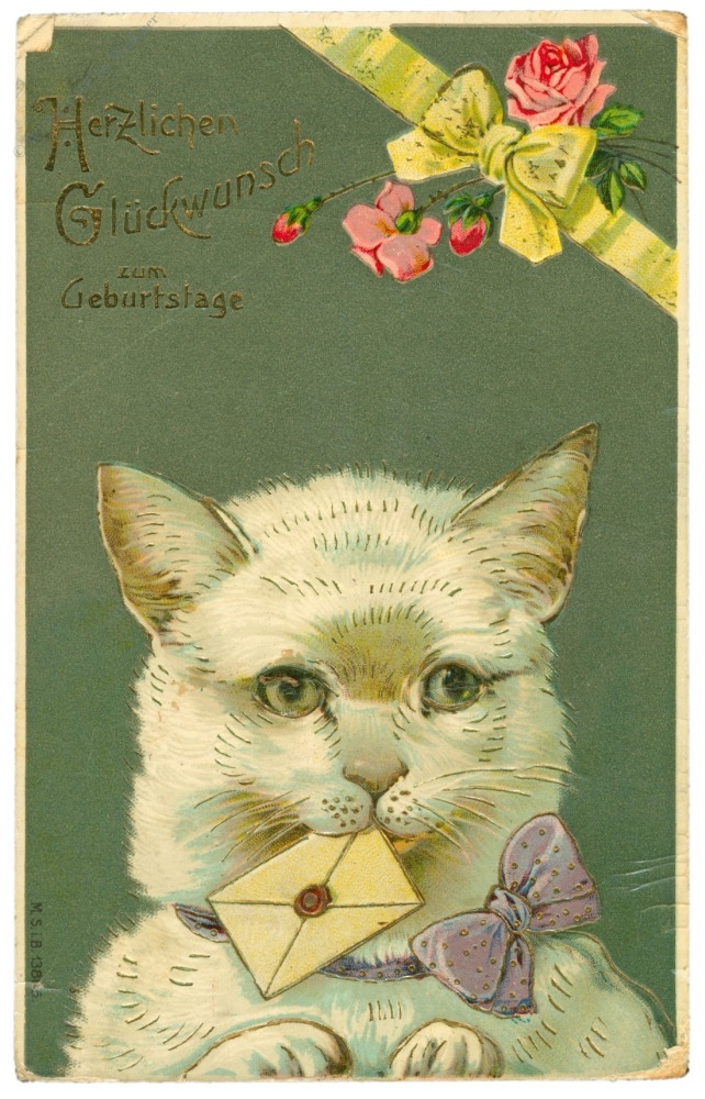 geburtstag, katze mit brief geburtstag, katze mit brief