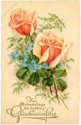 geburtstag, rosen