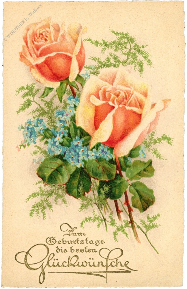 geburtstag, rosen geburtstag, rosen