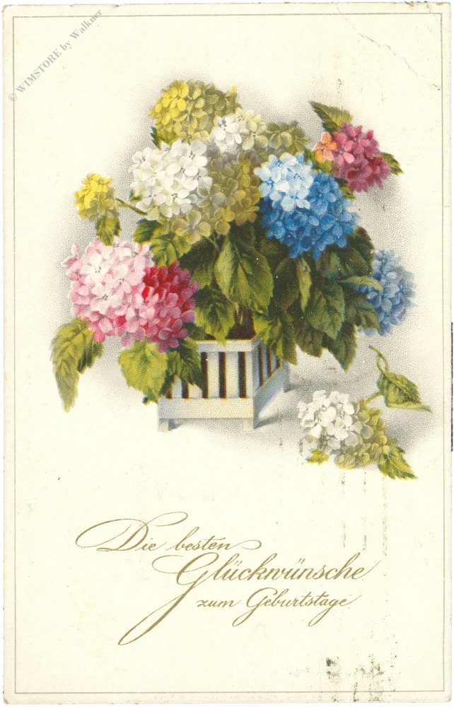 geburtstag, hortensien geburtstag, hortensien