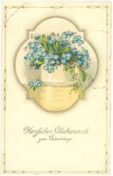 geburtstag, vase mit vergissmeinnicht