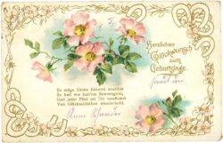 geburtstag, rosenblüte