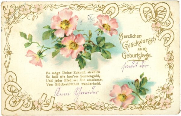 geburtstag, rosenblüte