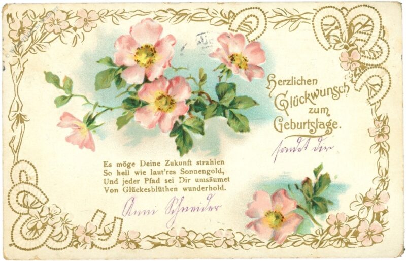geburtstag, rosenblüte geburtstag, rosenblüte