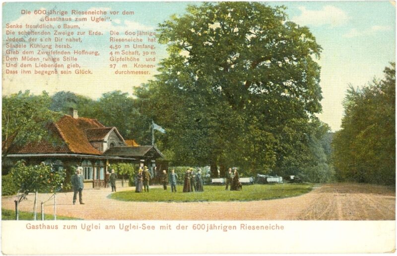 eutin, gasthaus zum uglei am uglei see mit 600jährigen rieseneiche eutin, gasthaus zum uglei am uglei see mit 600jährigen rieseneiche