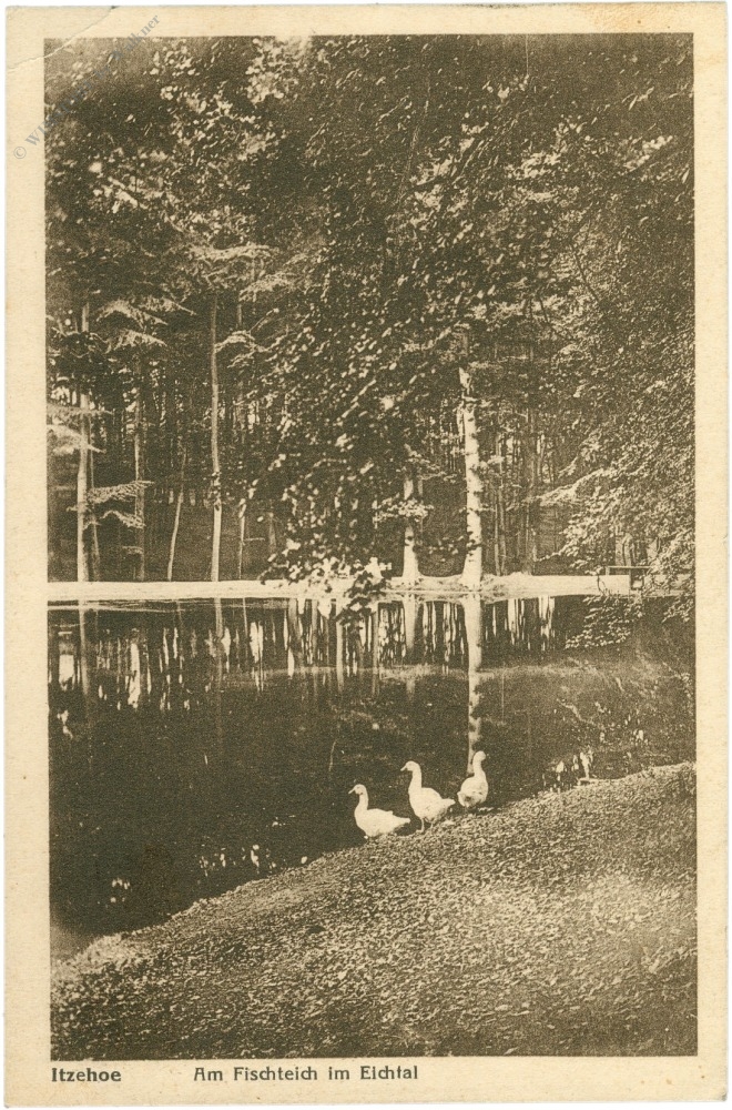 itzehoe, am fischteich im eichtal itzehoe, am fischteich im eichtal