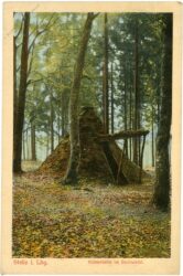 stelle, köhlerhütte im buchwedel