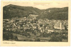 waldkirch im elztal, ansicht