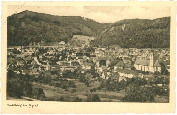waldkirch im elztal, ansicht