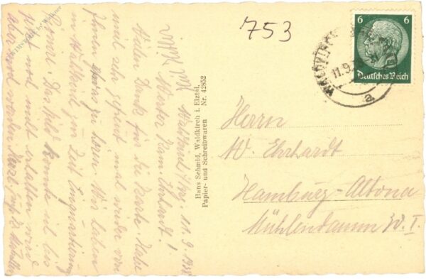 waldkirch im elztal, ansicht