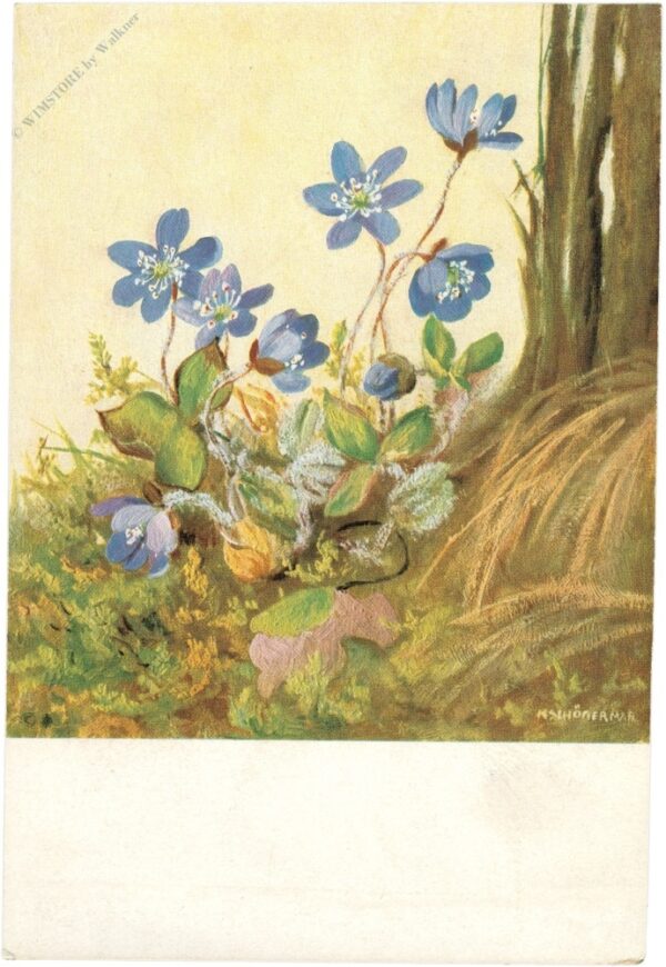 blumen blumen