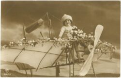 dame in einer flugzeugkonstruktion mit blumen