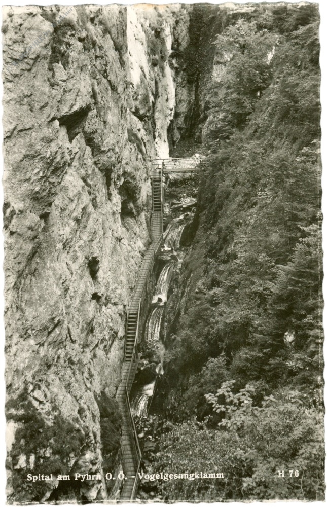spital am pyhrn, vogelgesangklamm spital am pyhrn, vogelgesangklamm
