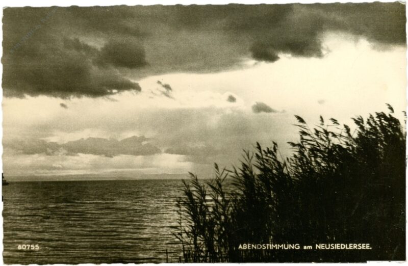 neusiedlersee, abendstimmung neusiedlersee, abendstimmung