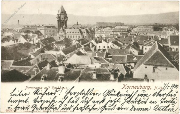 korneuburg, panorama mit rathaus