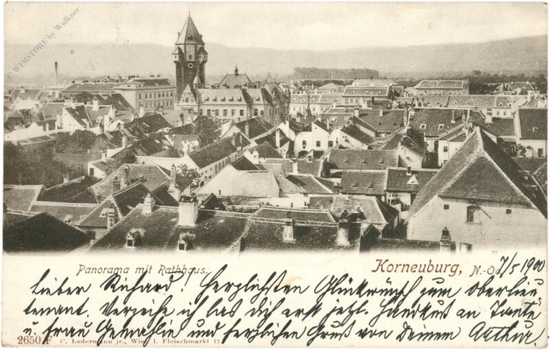 korneuburg, panorama mit rathaus