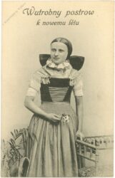 neujahr, dame in tracht