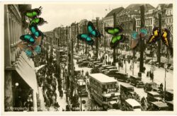 berlin, unter den linden, olympische spiele