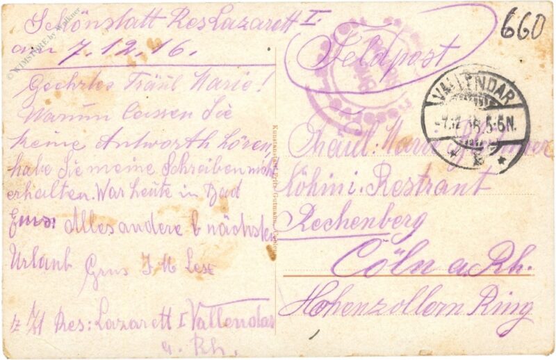 vallendar am rhein, partie mit dem kloster schönstatt, studienheim der pallotiner