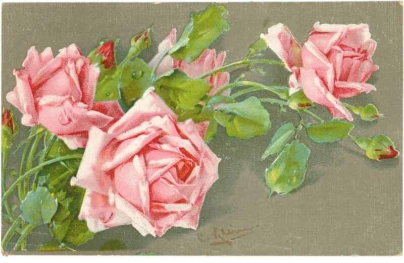 rosen rosen