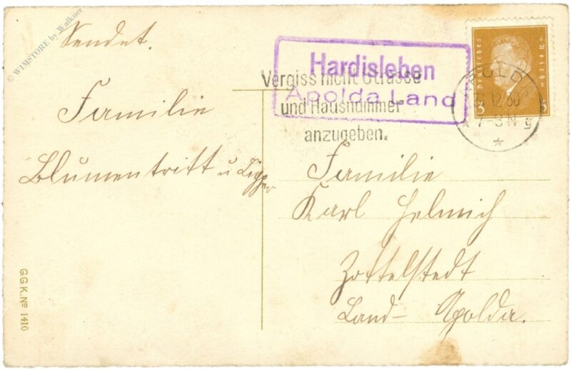 neujahr, kind mit hundeschlitten