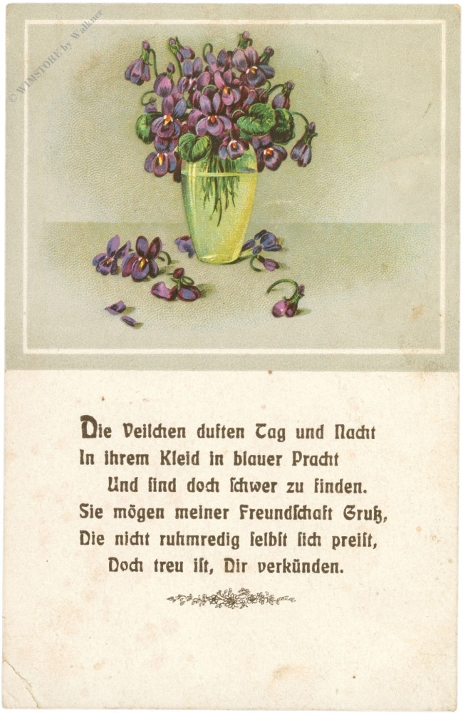 veilchen, vers veilchen, vers