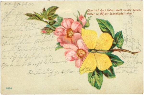 blüten mit schmetterling, vers