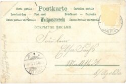 blüten mit schmetterling, vers