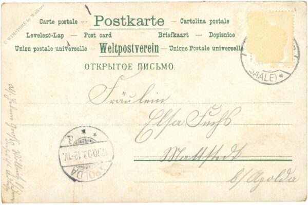 blüten mit schmetterling, vers