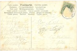 vergissmeinnicht im topf, vers