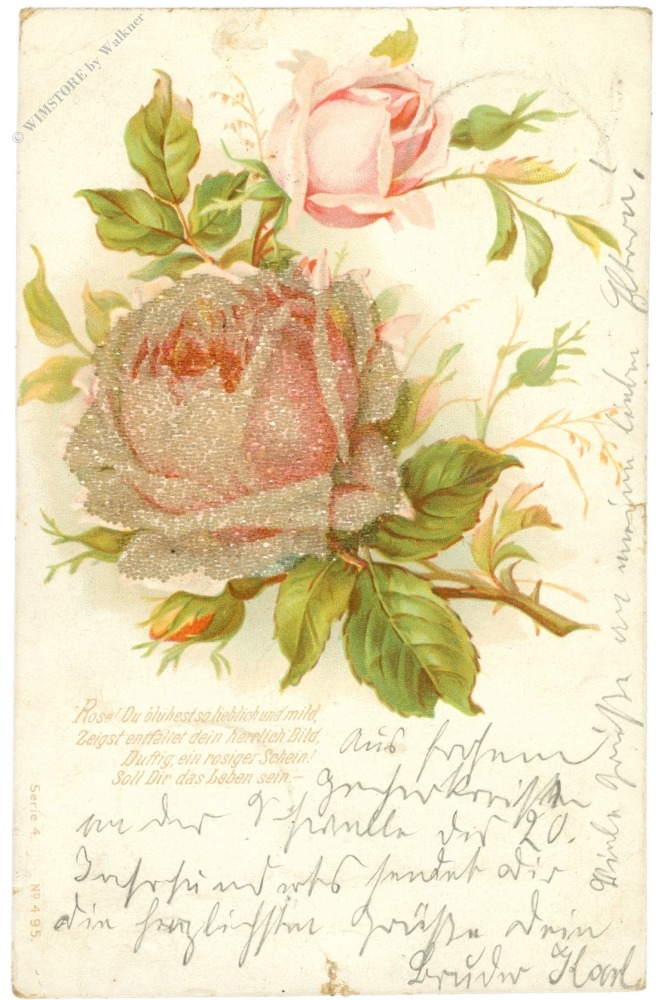 rose, mit glitzernden steinen überzogen rose, mit glitzernden steinen überzogen