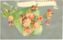 blumensträußchen