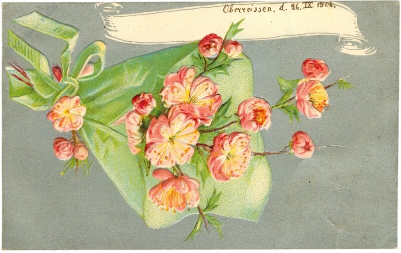 blumensträußchen blumensträußchen