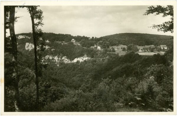 traifelberg, alb hotel
