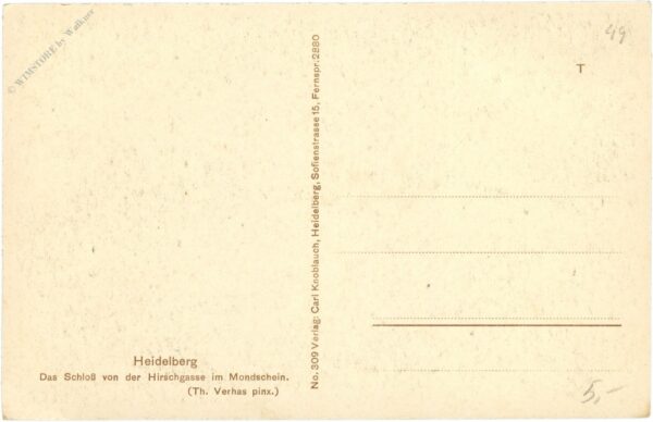 heidelberg, das schloss von der hirschgasse im mondschein