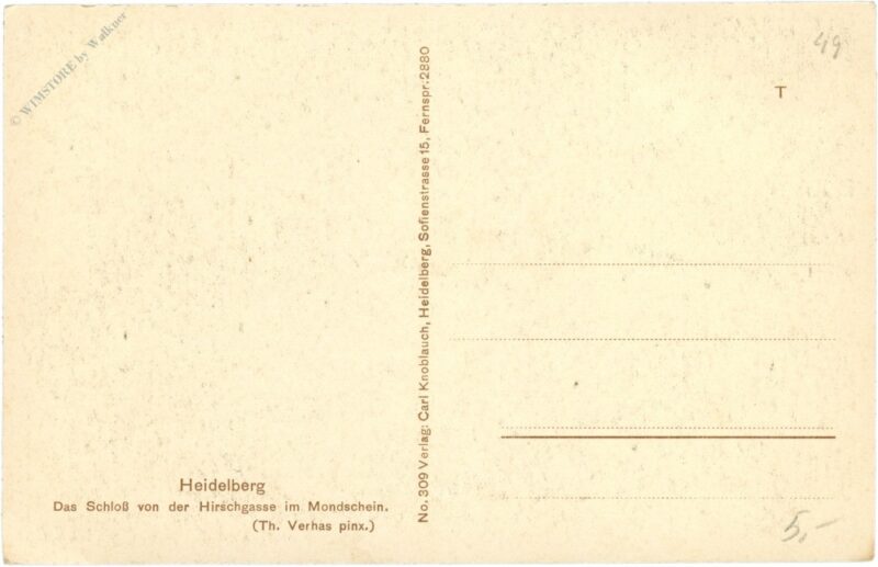 heidelberg, das schloss von der hirschgasse im mondschein