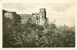 heidelberg, schloss zur blütezeit