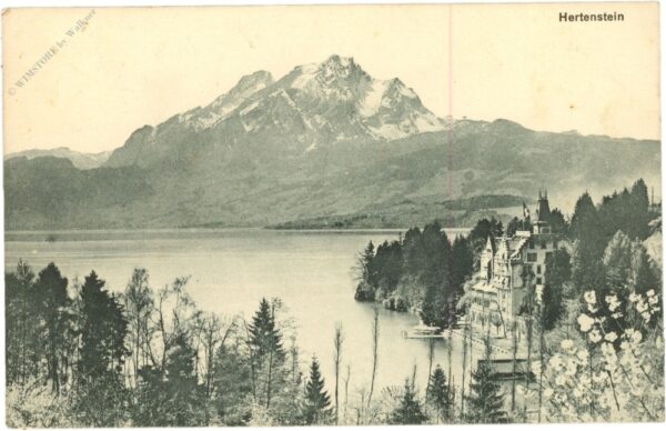 weggis, hertenstein